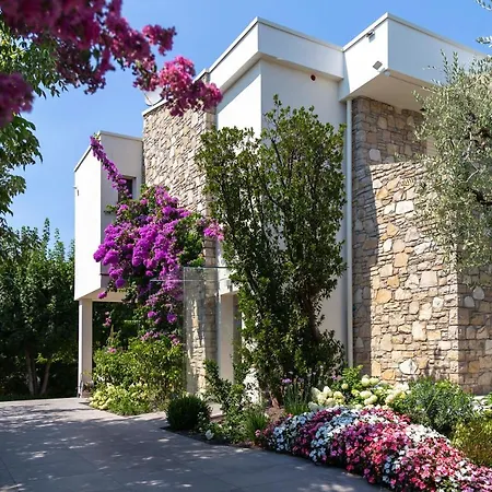 Degli Angeli Apartment